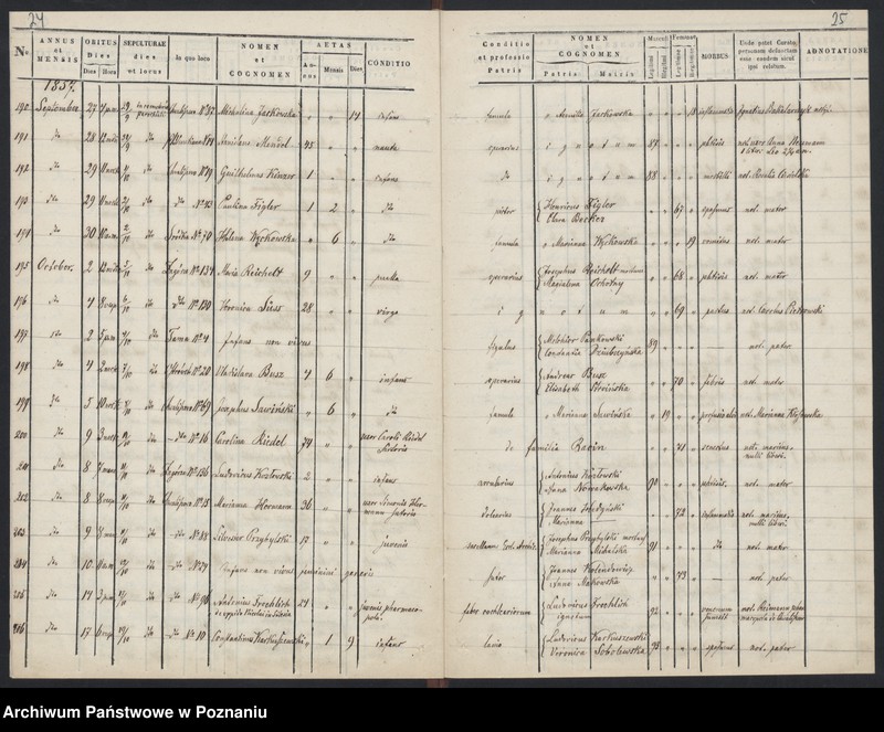 Obraz 15 z jednostki "Księga zgonów"