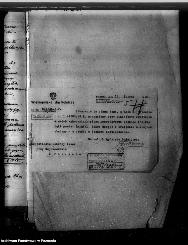 Obraz 9 z jednostki "Majętność /leśna/ Wielkie Łęki powiat kościański"