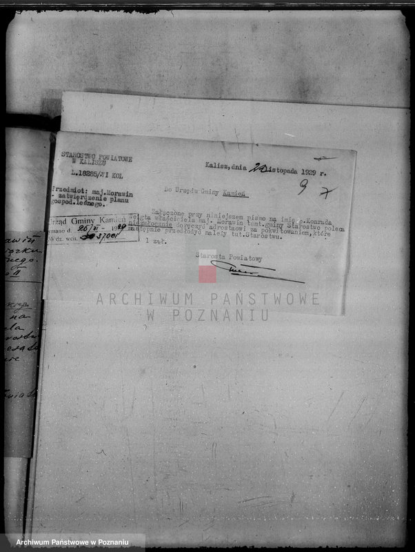 Obraz 13 z jednostki "Wyłączenie obszarów leśnych majątku Morawin powiat kaliski"