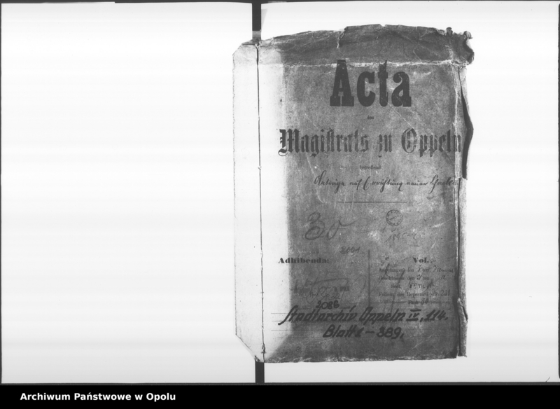 Obraz 4 z jednostki "Acta des Magistrats zu Oppeln betreffend Anträge auf Errichtung neuer Schankanlagen"