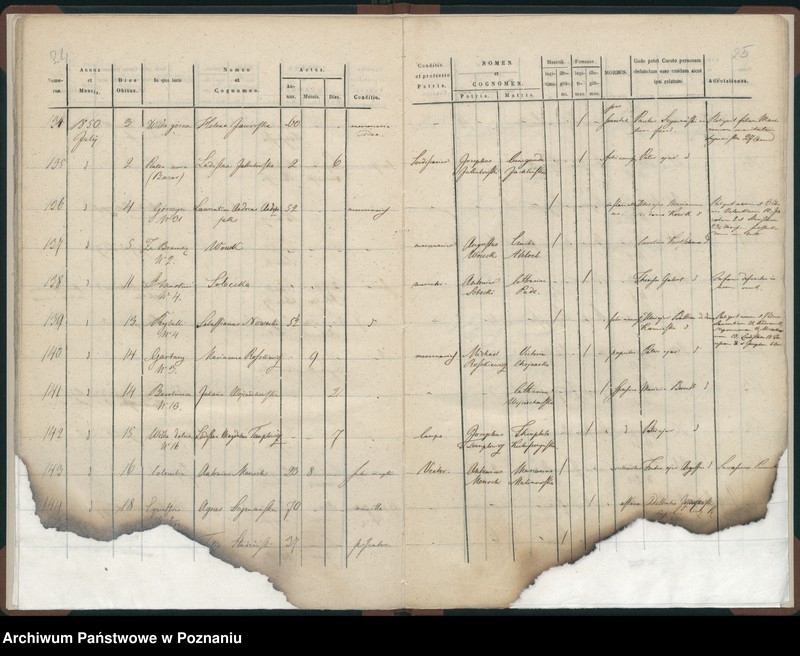 Obraz 15 z jednostki "Księga zgonów"