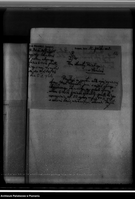 Obraz 16 z jednostki "Gmina Wymysłów powiat koniński /nadzór nad gospodarką leśną/"