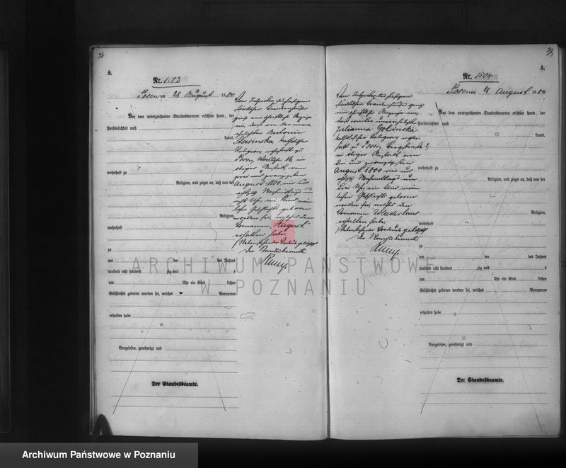 Obraz 20 z jednostki "Księga urodzeń t. IV"