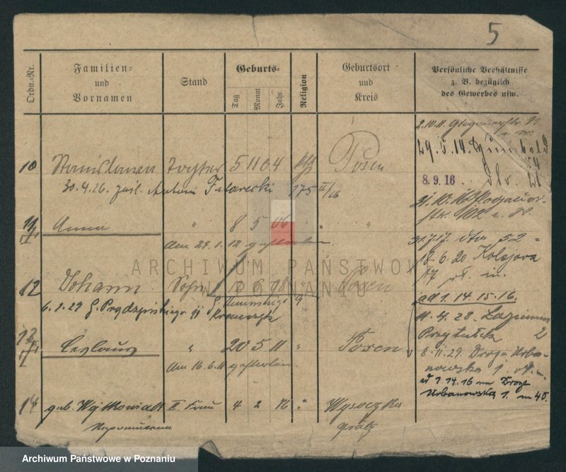 Obraz 13 z jednostki "Skrzypczak (żonaci - samotni mężczyźni)"