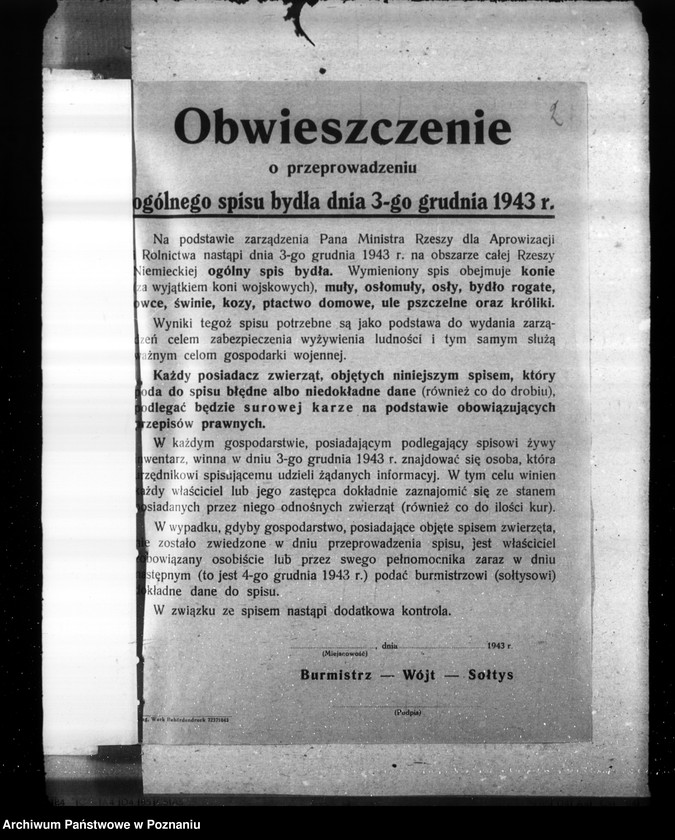 Obraz 6 z jednostki "Korespondencja, formularze i zestawienia wyników w zwiazku ze spisem bydła"