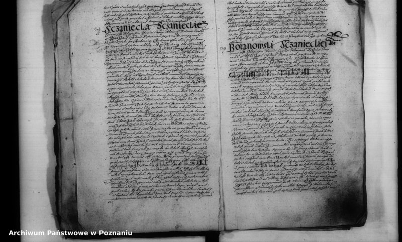 Obraz 7 z jednostki "Inscriptiones [inducta]"