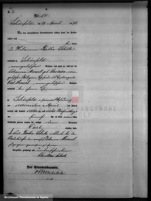 image.from.unit.number "Geburts-Haupt-Register Standesamts Schönfeld pro 1876"