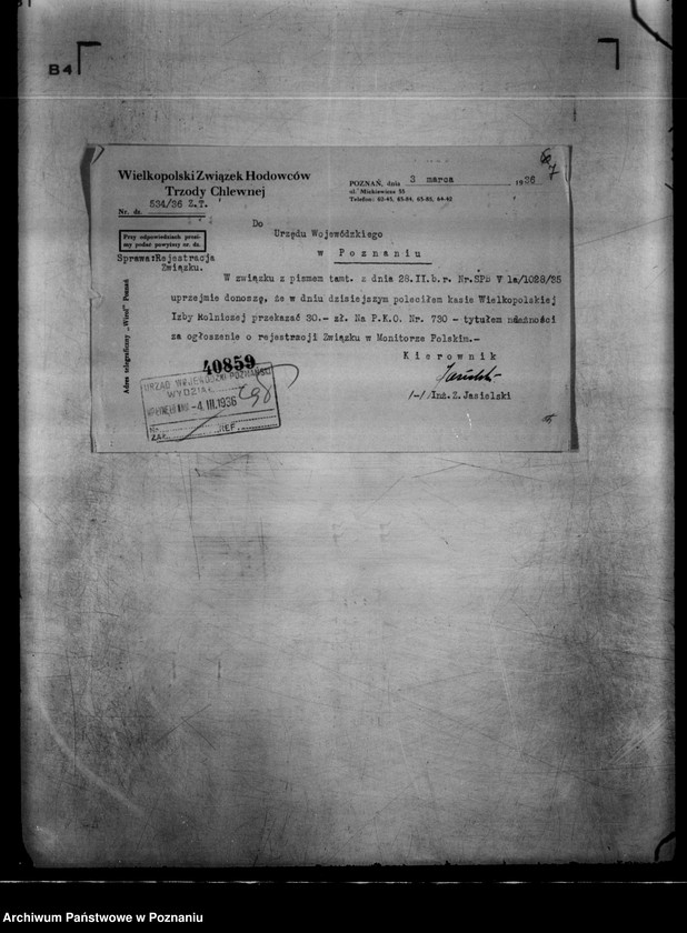 Obraz 11 z jednostki "/Wielkopolski Związek Hodowców Trzody Chlewnej w Poznaniu/"