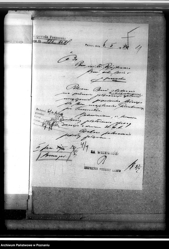 Obraz 15 z jednostki "Las majętności Wierzbiczany w powiecie inowrocławskim"