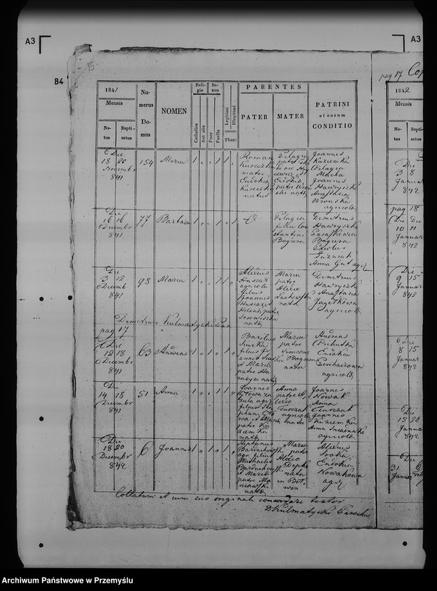 Obraz 20 z jednostki "[Kopie ksiąg metrykalnych parafii Maćkowice z filią Kosienice (dekanat Przemyśl)]"