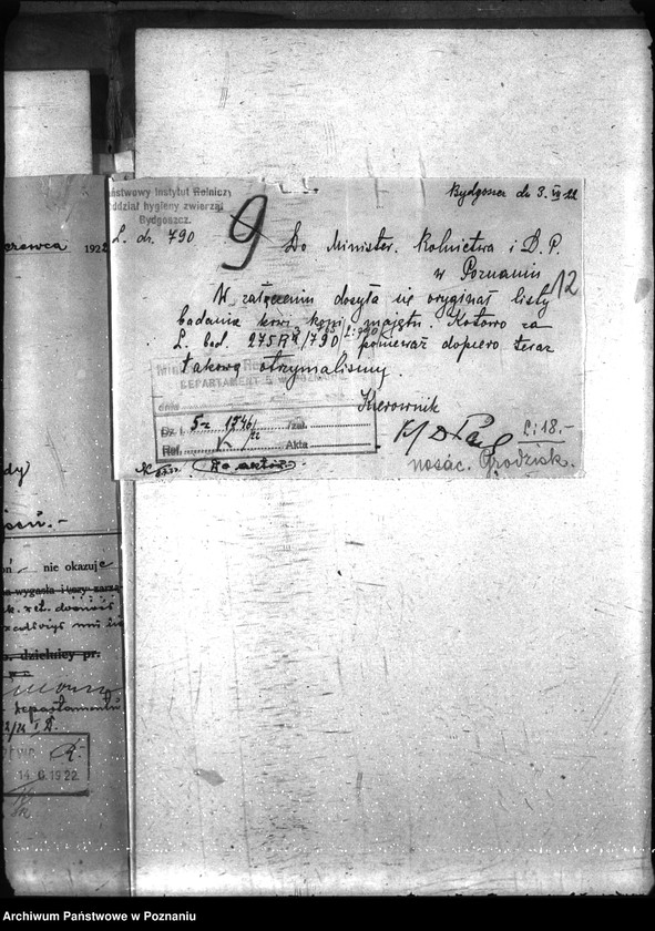 Obraz 17 z jednostki "Nosacizna - Grodzisk"