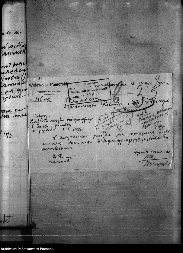 Obraz 13 z jednostki "Budżet weterynaria na rok 1921"