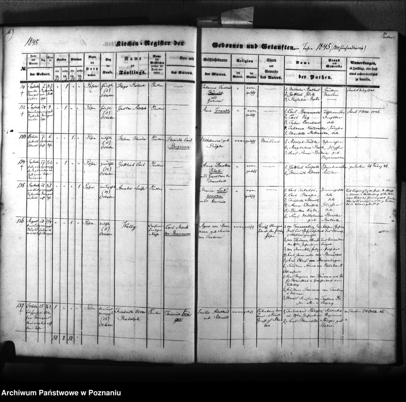 Obraz 19 z jednostki "Kirchenbuch Geborenen"