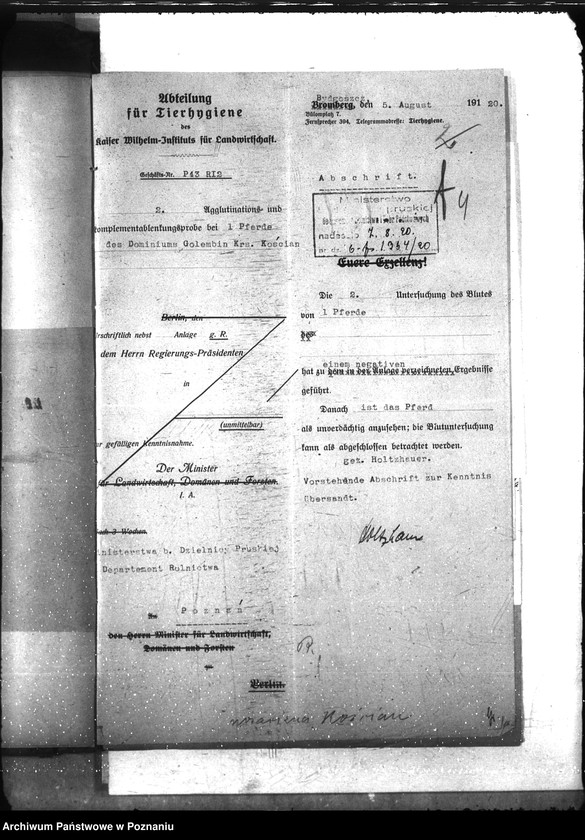 Obraz 8 z jednostki "Nosacizna - Kościan"
