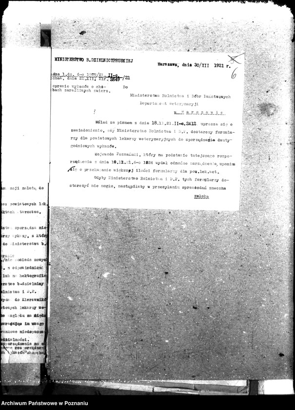 Obraz 10 z jednostki "Weterynaria"