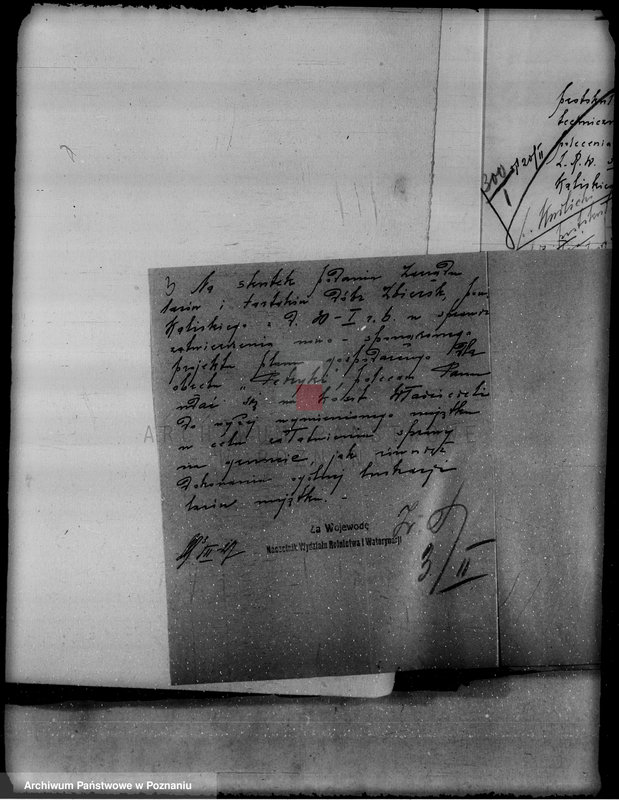 Obraz 7 z jednostki "Lustracja lasu majątku Zbiersk i Petryki powiatu kaliskiego oraz zatwierdzenie uzupełnienia planu gospodarstwa leśnego"