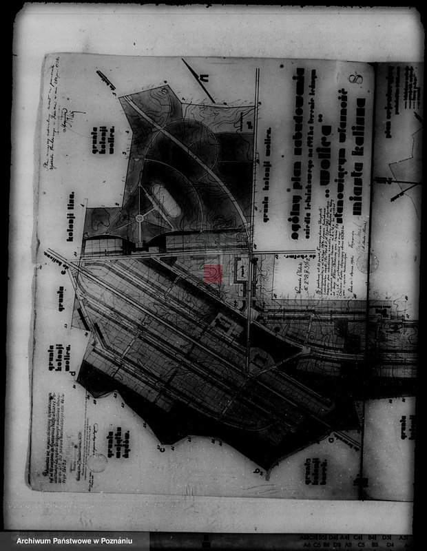 Obraz 4 z jednostki "/Las miasta Kalisza nadzór nad gospodarką/"