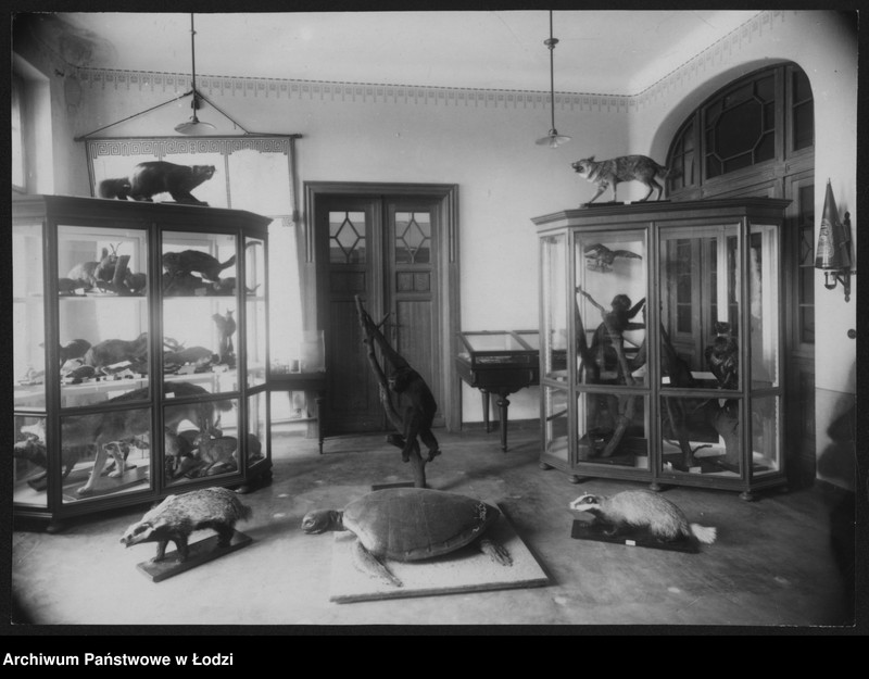 Obraz 2 z jednostki "[Pracownia biologiczna - widok na eksponaty, fragment III]"