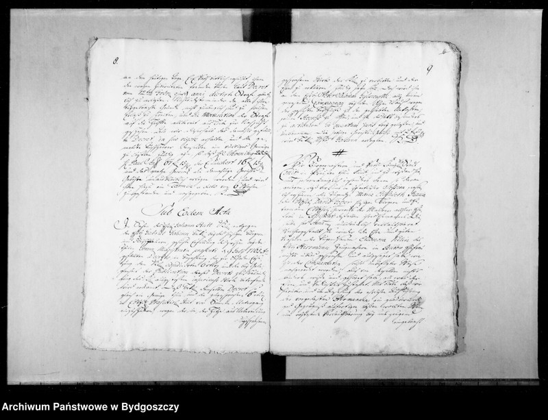 image.from.unit.number "Acta munda consularia"