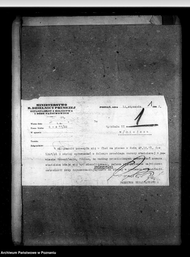 Obraz 6 z jednostki "Zaraza stadnicza"