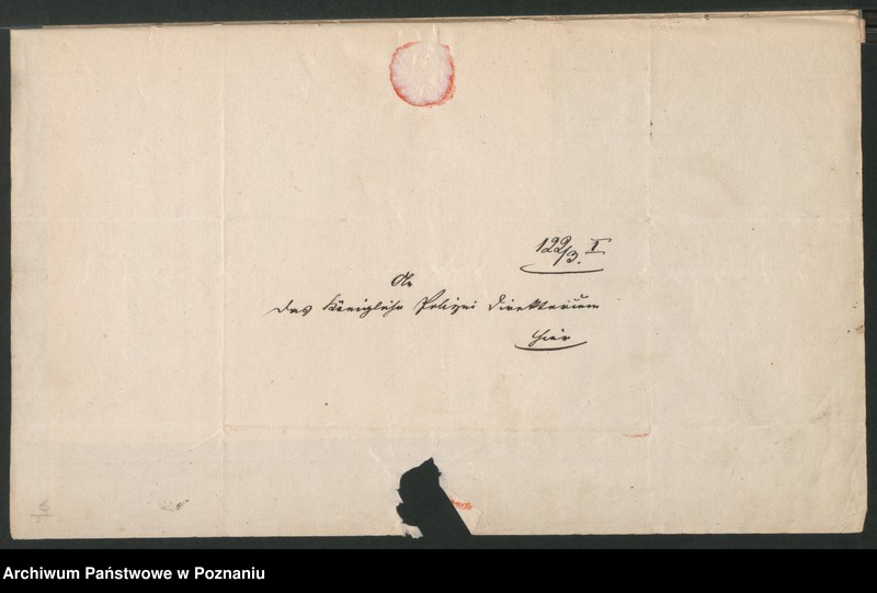 Obraz 12 z jednostki "A. betr. den polnischen Flüchtling General von Suchorzewski"