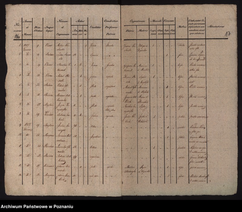 Obraz 12 z jednostki "Liber duplicatus baptisatorum, copulatorum et mortuorum"