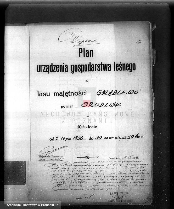 Obraz 20 z jednostki "Plan urządzenia gospodarstwa leśnego dla lasu majętności Grąblewo w powiecie nowotomyskim"