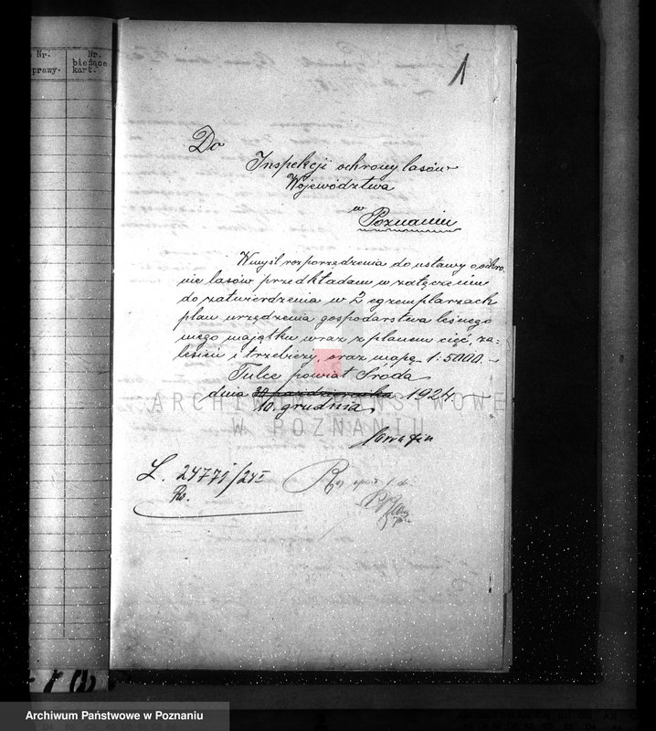 Obraz 5 z jednostki "Nadzór nad gospodarką w lasach majętności Tulce powiat średzki"