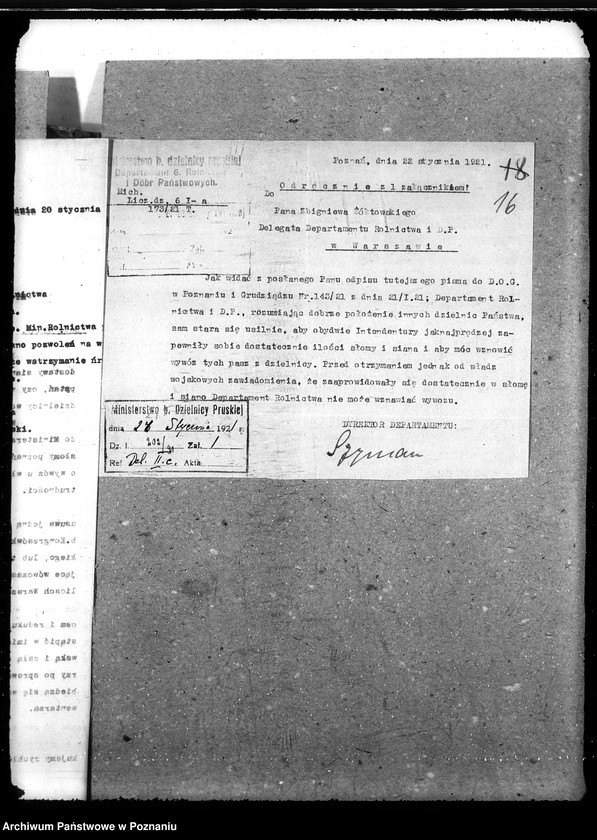 Obraz 20 z jednostki "Słoma i siano"