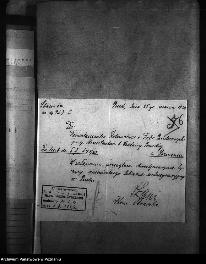 Obraz 10 z jednostki "[weterynarze narodowości niemieckiej]"