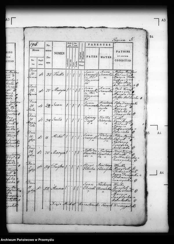 Obraz 9 z jednostki "[Kopie ksiąg metrykalnych parafii Kniażpol z filią Kropiwnik (dekanat Dobromil)]"