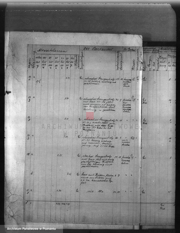 Obraz 20 z jednostki "Majętność /leśna/ Sobótka powiat ostrowski"