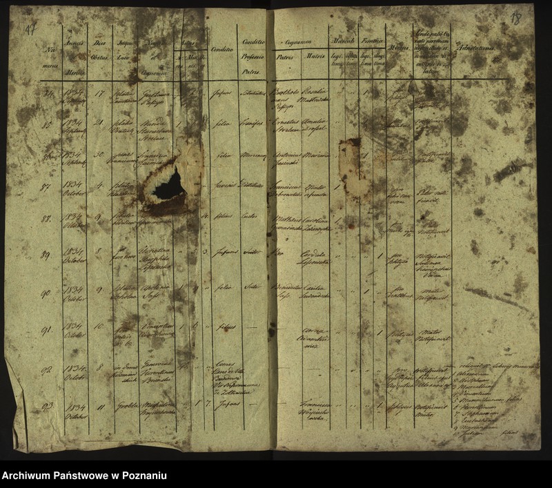 Obraz 12 z jednostki "Księga zgonów"