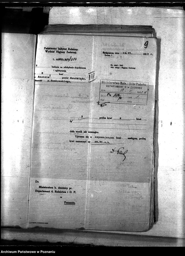 Obraz 13 z jednostki "Nosacizna - Grudziądz"