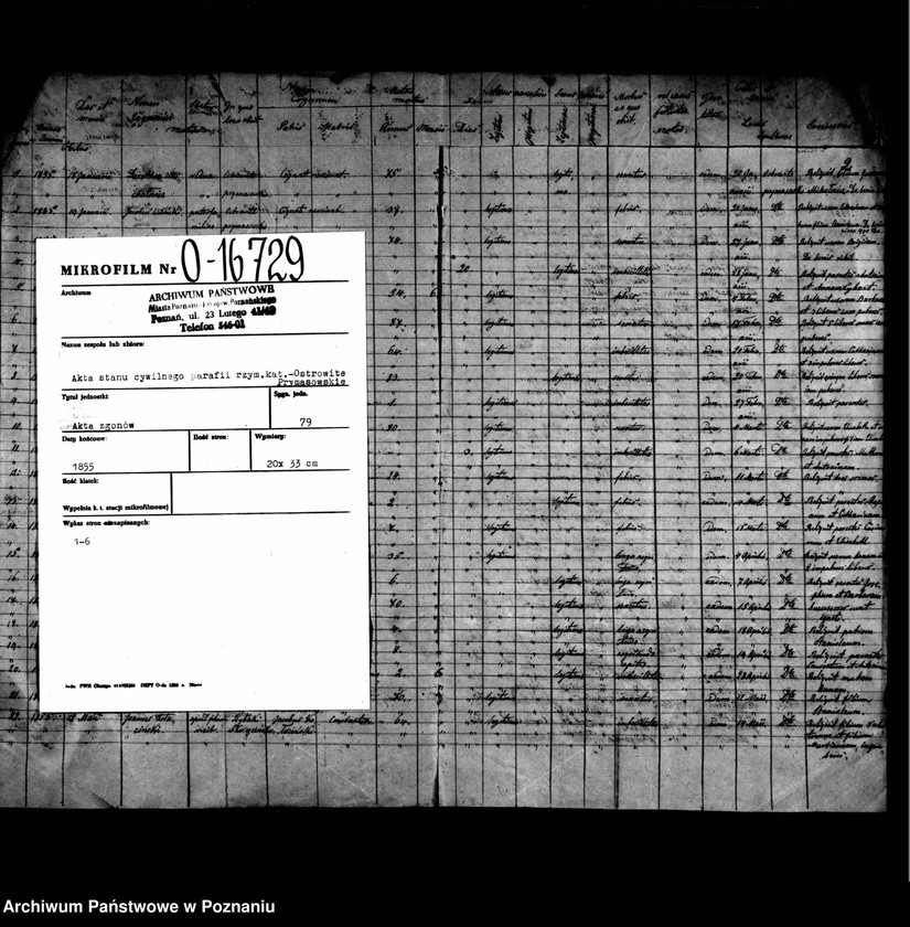 image.from.unit.number "Duplikaty zmarłych"