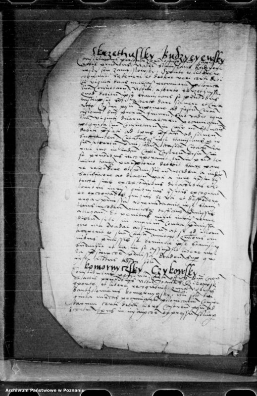 Obraz 6 z jednostki "Inscriptiones, relationes, decreta [inducta]"