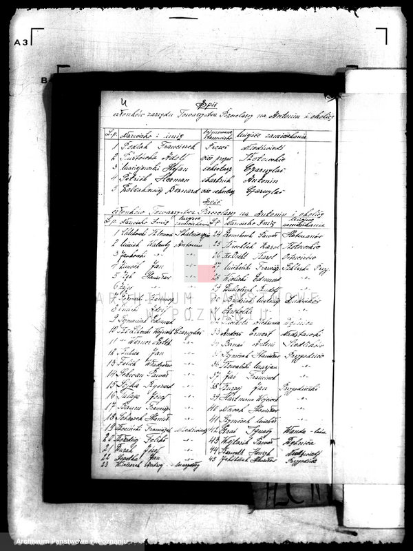 Obraz 10 z jednostki "Towarzystwo Pszczelarzy w Antoninie powiatu ostrowskiego"