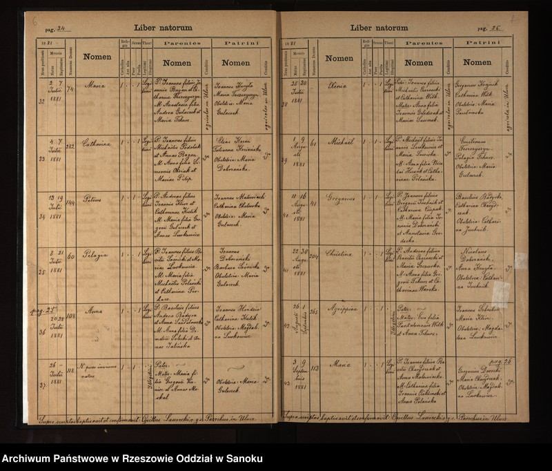 image.from.unit.number "Księga urodzeń, małżeństw, zgonów dla miejscowosci Ulucz, Horoszówka (Hroszówka)"