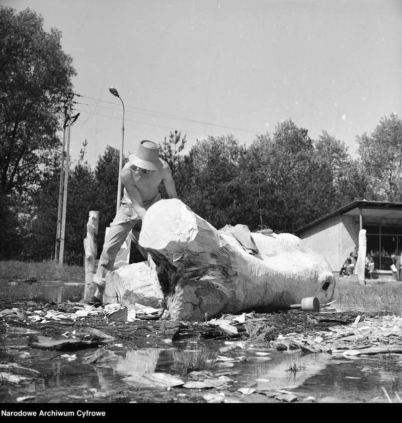 image.from.unit.number "Ogólnopolskie plenery rzeźby ludowej w Szamotułach i Turku"
