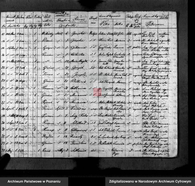 Obraz 5 z jednostki "Duplikat baptisatorum, copulatorum, mortuorum"