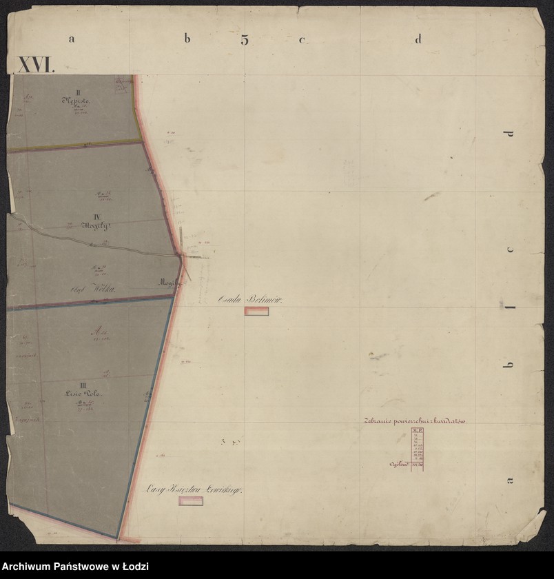 Obraz 15 z jednostki "Pierworys pomiaru dóbr prywatnych Nieborów składających się z folwarków Nieborów, Zygmuntów, Łasieczniki, Jasionna, Wólka Łasiecka, Kaczew, Polesie, Chyleniec ... oraz przyległych lasów ..."