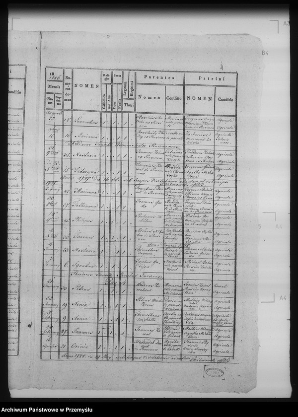 Obraz 8 z jednostki "[Kopie ksiąg metrykalnych parafii Bełz z filiami Prusinów, Tuszków, Witków (dekanat Bełz)]"