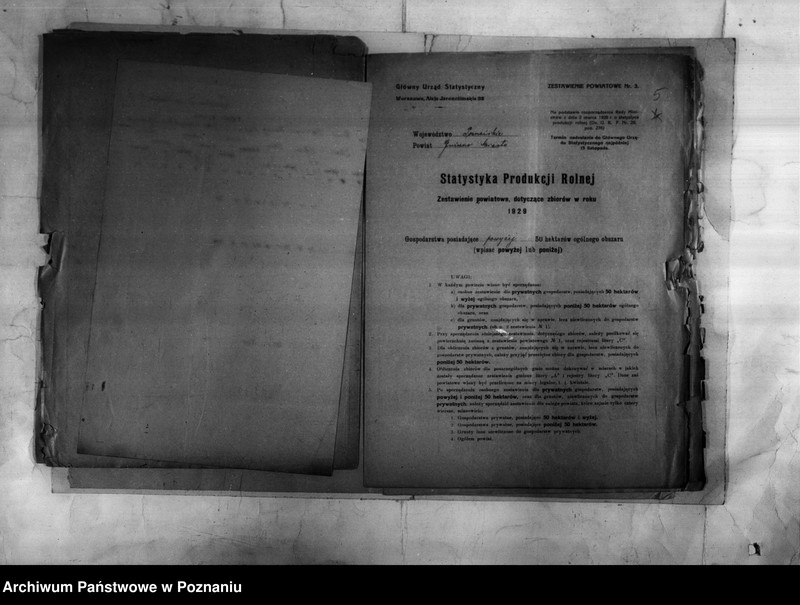 Obraz 7 z jednostki "/Statystyka produkcji rolnej - zestawienie powiatowe z terenu Gniezna/"