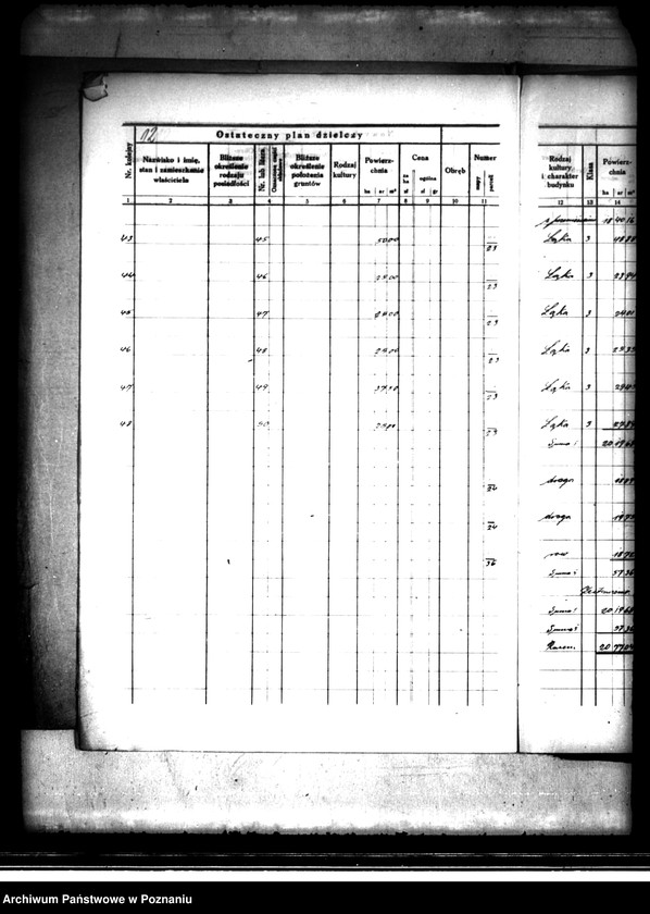 Obraz 16 z jednostki "Ostateczny plan dzielczy i nowy kataster majątku Trzcinica powiatu kępińskiego parcelacja prywatna"
