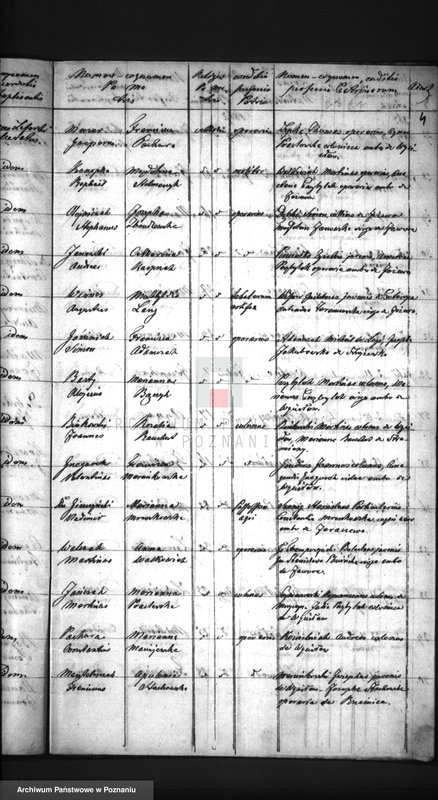 Obraz 7 z jednostki "Duplikat baptisatorum, copulatorum, mortuorum"