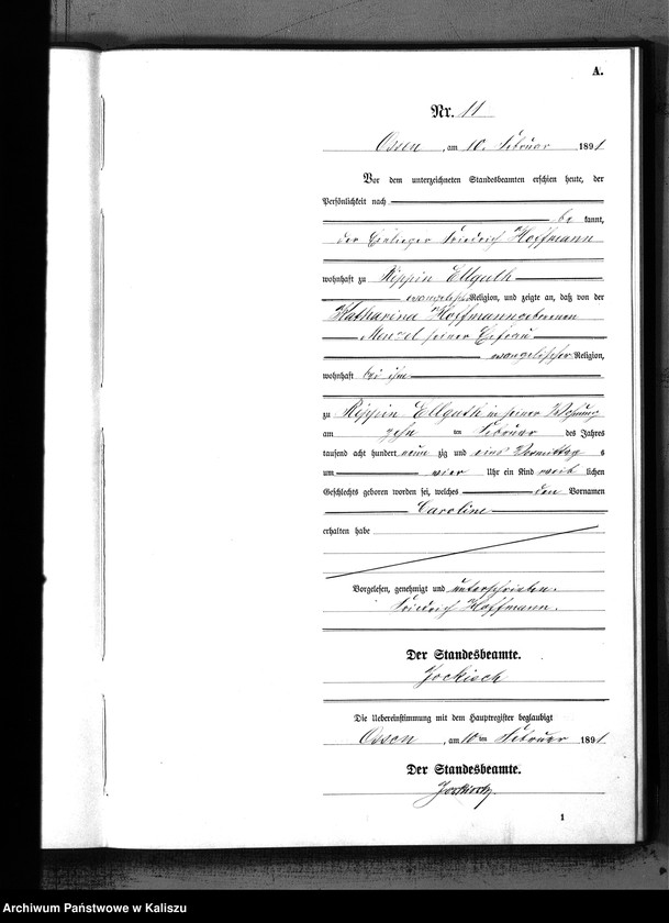 Obraz 14 z jednostki "[Księga urodzeń]"