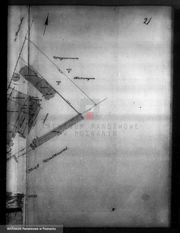 Obraz 6 z jednostki "Projekt przebudowy i dobudowy Mleczarni Bukowskiej w Pawłówku"