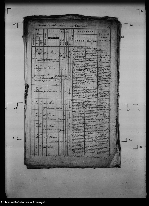 Obraz 6 z jednostki "[Kopie ksiąg metrykalnych parafii Mołoszkowice z filią Leśniowice (dekanat Jaworów)]"