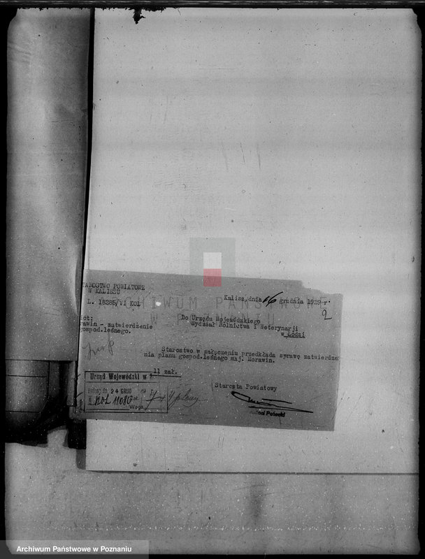 Obraz 6 z jednostki "Wyłączenie obszarów leśnych majątku Morawin powiat kaliski"