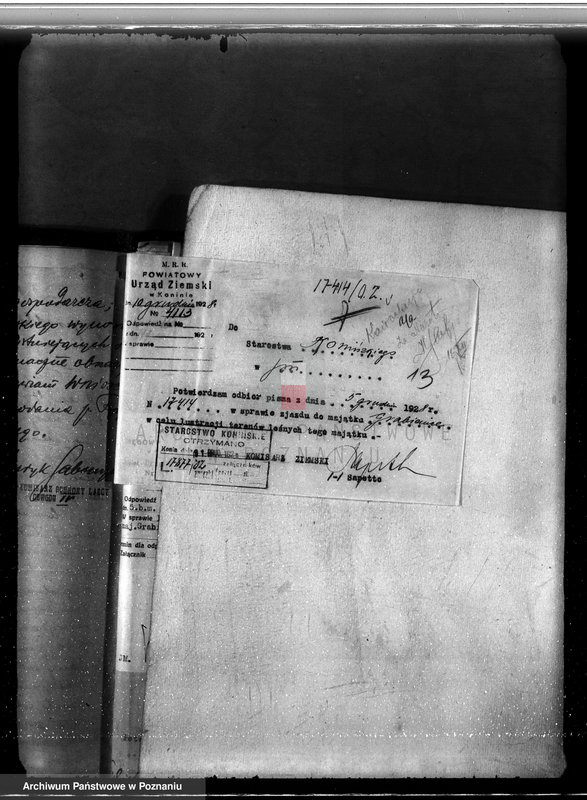 Obraz 17 z jednostki "Majątek Grabienice powiat koniński /nadzór nad gospodarką leśną/"